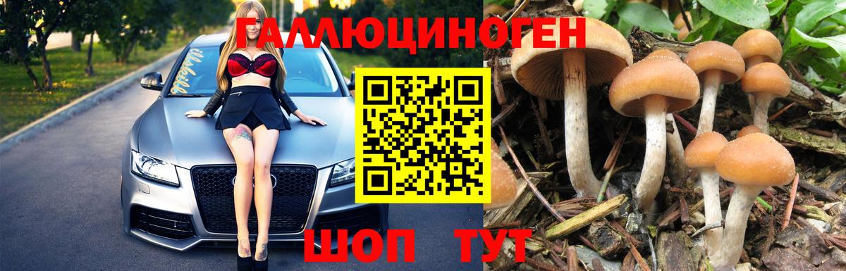 Галлюциногенные грибы MAGIC MUSHROOMS Обнинск